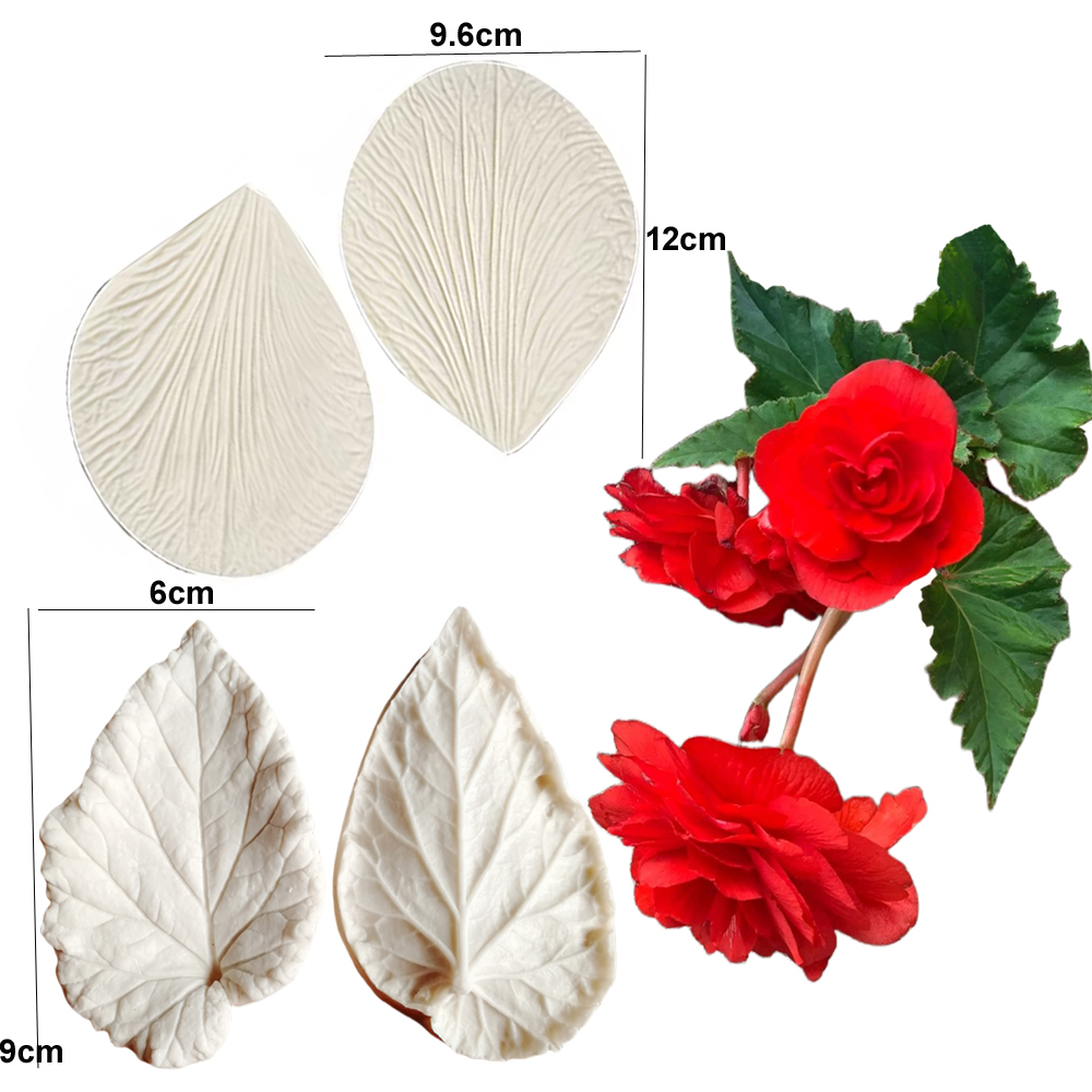 Begonia Tuberous Veiner Силико – обзор и цена Eco Art Craft