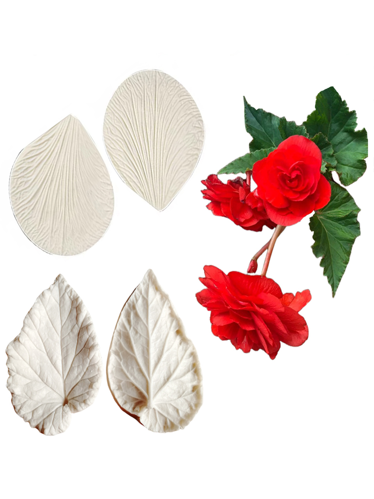 Begonia Tuberous Veiner Силико – обзор и цена Eco Art Craft
