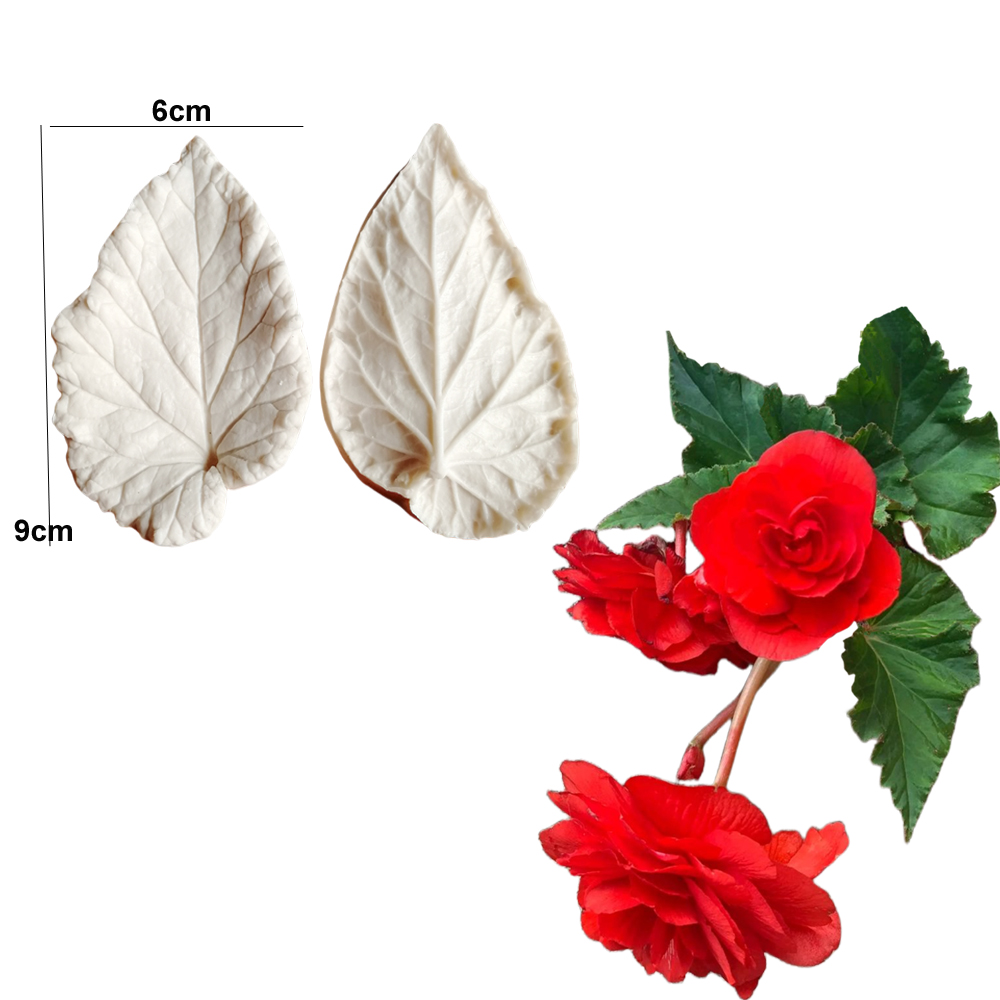 Begonia Tuberous Veiner Силико – обзор и цена Eco Art Craft